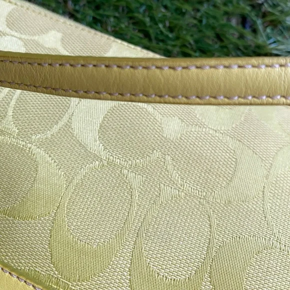 Coach demi purse